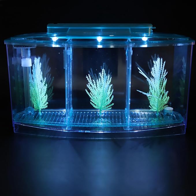 Rengue Fish Breeder Box for Aquarium TripleChamber Fish Breeder Box for Aquarium, Transparent LED Acrylic Small Fishes Breeding Isolation for, Transparent LED Acrylic (Blue)