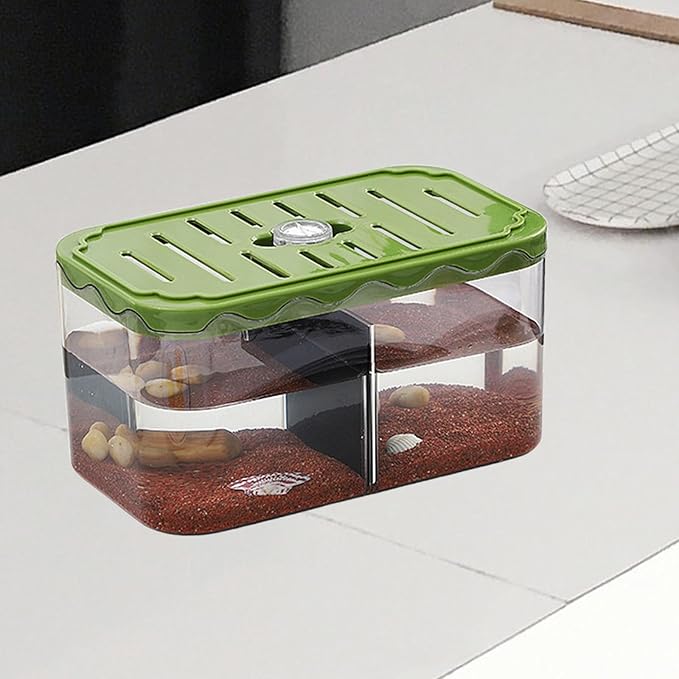 Aquarium Breeding Box Small Fish Tank Multifunction Table Centerpieces Acclimation Hatchery for Clownfish Home, Green