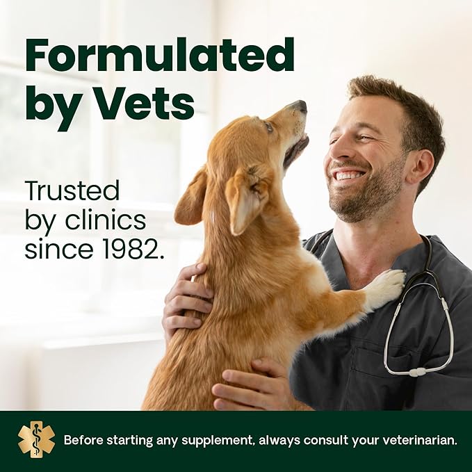 VetriScience Healthy Hip & Joint Chewable Tablets, GlycoFlex Glucosamine and Green-Lipped Mussel Joint Support Supplement for Dogs, Promote Mobility and Protect Joints, Chicken, 120 Count