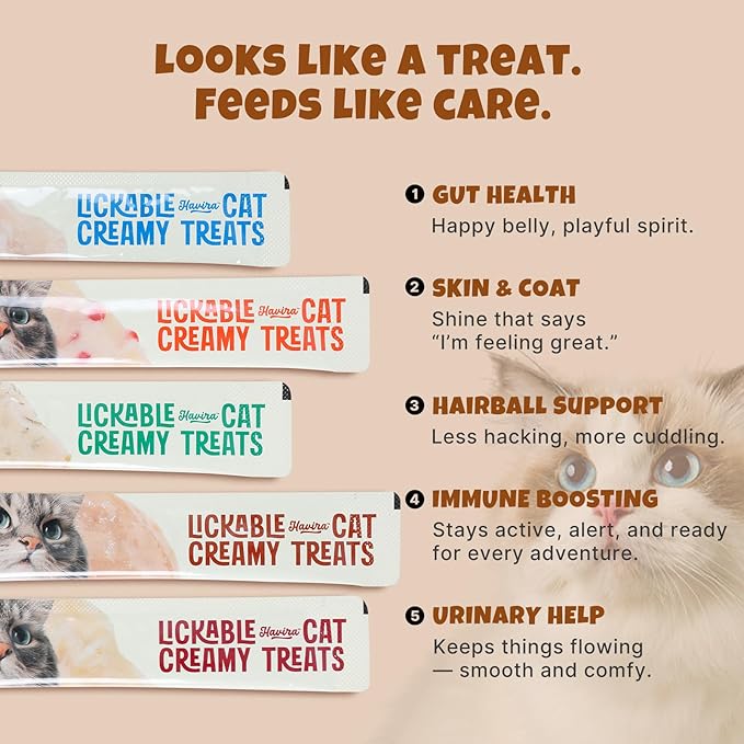 Havira Healthy Lickable Creamy Cat Treats Digestion Support – Chicken Recipe Squeeze Treats with probiotics & Lactic Cultures, Creamy Functional Snacks for Gentle Digestion & Daily Comfort, Grain Free