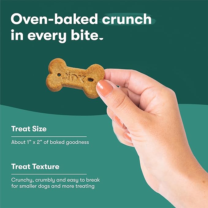 Jinx Oven-Baked Beef Bone Broth Biscuit Dog Treats - Crunchy, All Natural, Superfood-Rich with High-Protein Salmon, Dog Biscuits for Puppies, Adults & Seniors - 3LB (Pack of 4)