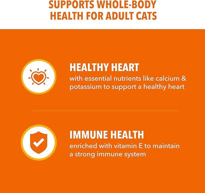 IAMS Proactive Health Dry Cat Food, Healthy Cat Food Dry Recipe for Adults, with Real Salmon, 22 lb. Bag