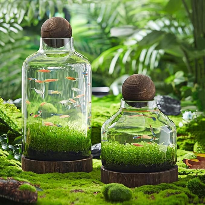 Glass Aquarium with Wooden Base, Transparent Wooden Fish Tank, Elegant Natural Betta Fish Tank, Clear HD Glass Goldfish Bowl, Aquaponics Fish Tank, Micro Landscape Culture Tank,M