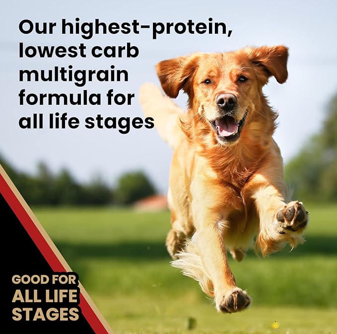 VICTOR Super Premium Dog Food – Purpose Nutra Pro – Gluten-Free, High Protein Low Carb Dry Kibble for Active Dogs of All Ages – Ideal for Sporting, Pregnant or Nursing Dogs & Puppies, 5lbs
