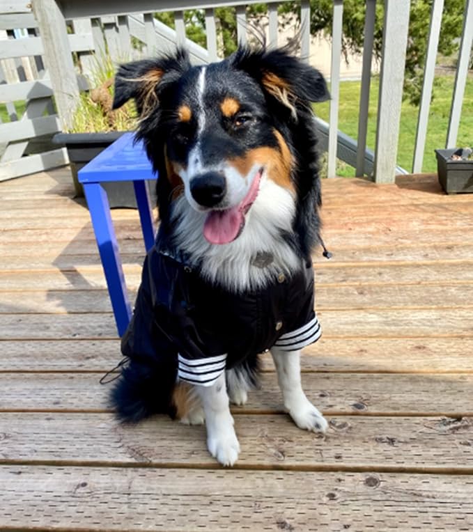 Morezi Dog Zip Up Raincoat with Reflective Buttons, Rain/Water Resistant, Adjustable Drawstring, Removable Hood, Raincoats with Legs 8lbs to 80lbs Available - Black - L