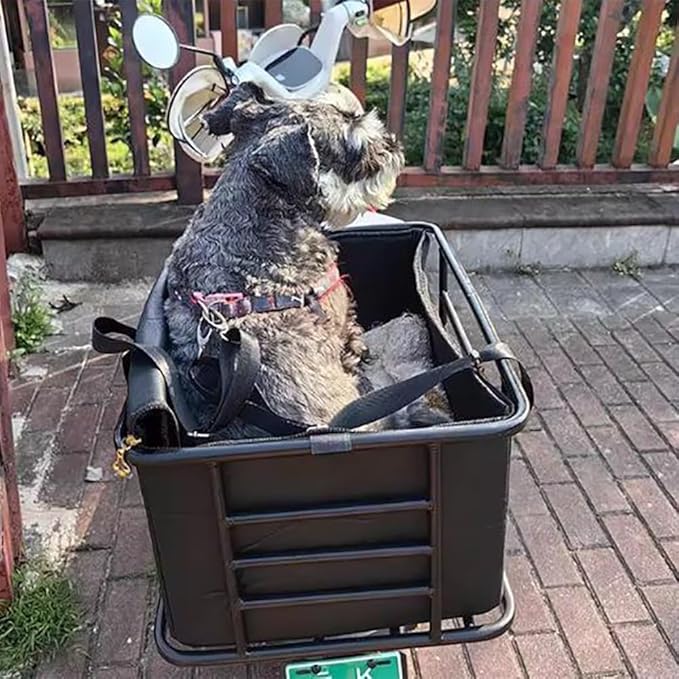 Pet Bike Carrier for Rear Rack – Dog Bicycle Seat with Soft Removable Liner, High Walls, Bolted Mount, Fits Bicycle/E-Bike/Motorcycle Racks