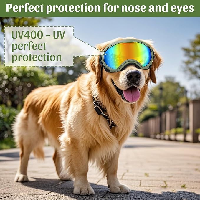 Middle Dog Goggles UV Protection, Dog Sunglasses Transparent Lens, Anti-Fog Snowproof Windproof, Suitable for Medium Dog Outdoor, for Dogs Eyes Protection, Green Box