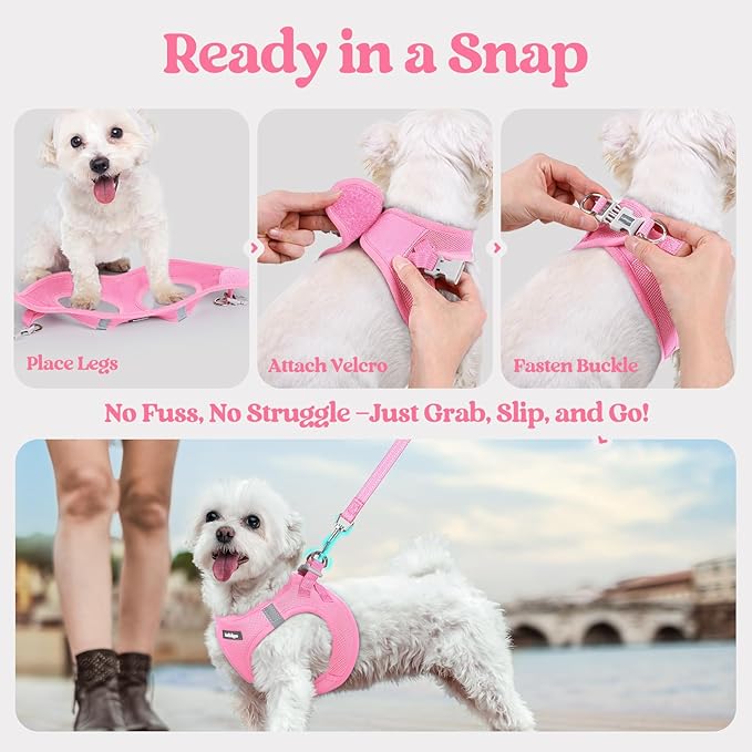 rabbitgoo Dog Harness Medium Sized and Leash Set, Step in Soft Light Puppy Vest, Breathable Mesh Pet Harness, Reflective for Safe Easy Walking, Light Pink XXL