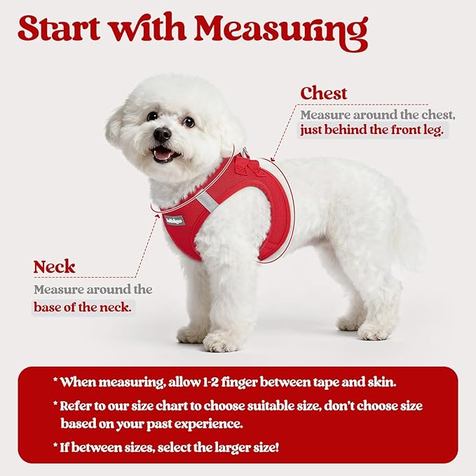 rabbitgoo Dog Harness Small Sized and Leash Set, Step in Soft Light Puppy Vest, Breathable Mesh Pet Harness, Reflective for Safe Easy Walking, Red XXS