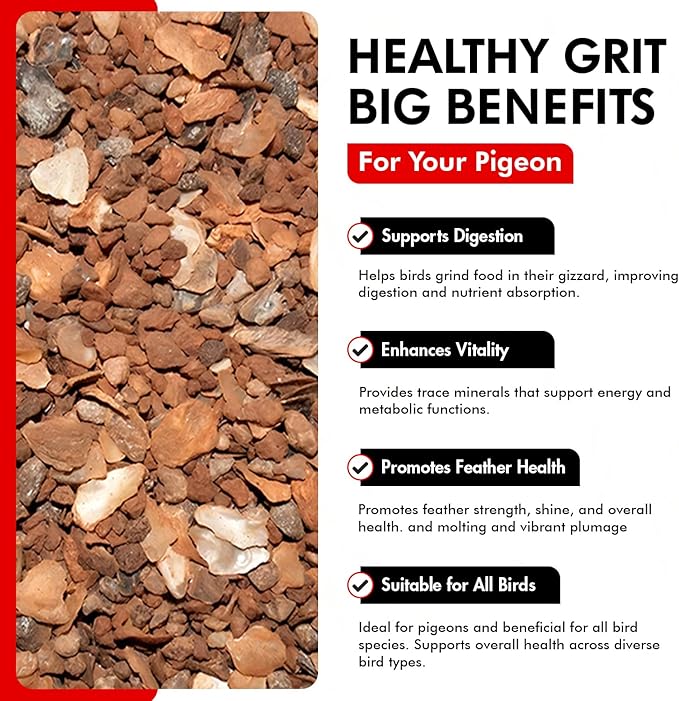 Morning Bird Pigeon Grit - Healthy & Nutritious Pigeon Food to Support Strong Muscles & Bones for Grit Eating Birds - Supports Digestion & Packed with Essential Minerals, 1.5 lbs