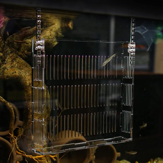 Fish Breeding Box for Aquariums Lightweight Isolated Breeder Tank Viewing for Guppies and Newborns Easy to Install Hanging Design