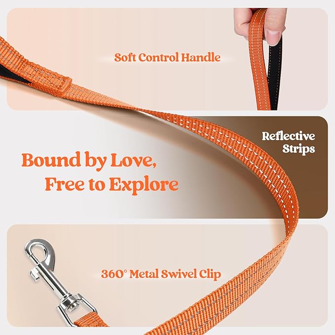 rabbitgoo Dog Harness Medium Sized and Leash Set, Step in Soft Light Puppy Vest, Breathable Mesh Pet Harness, Reflective for Safe Easy Walking, Orange XXL