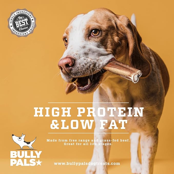 6" Standard Bully Sticks for Small to Medium Dogs - 10 Pack - Long Lasting, All Natural, Single Ingredient, Easily Digestible, Beef Dog Treats and Rawhide Free Dental Chews for Dogs