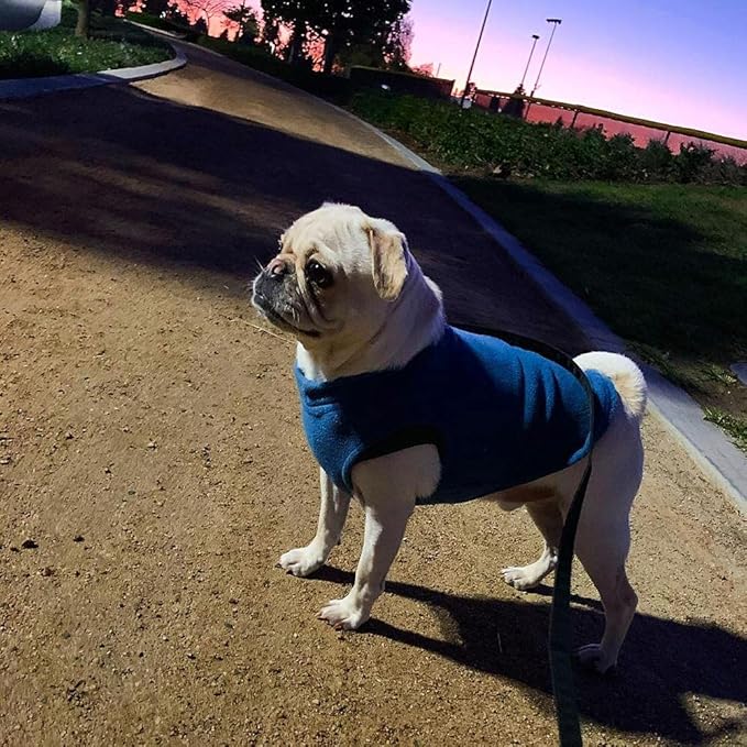 Gooby - Stretch Fleece Vest, Pullover Fleece Vest Jacket Sweater for Dogs, Steel Blue, Medium