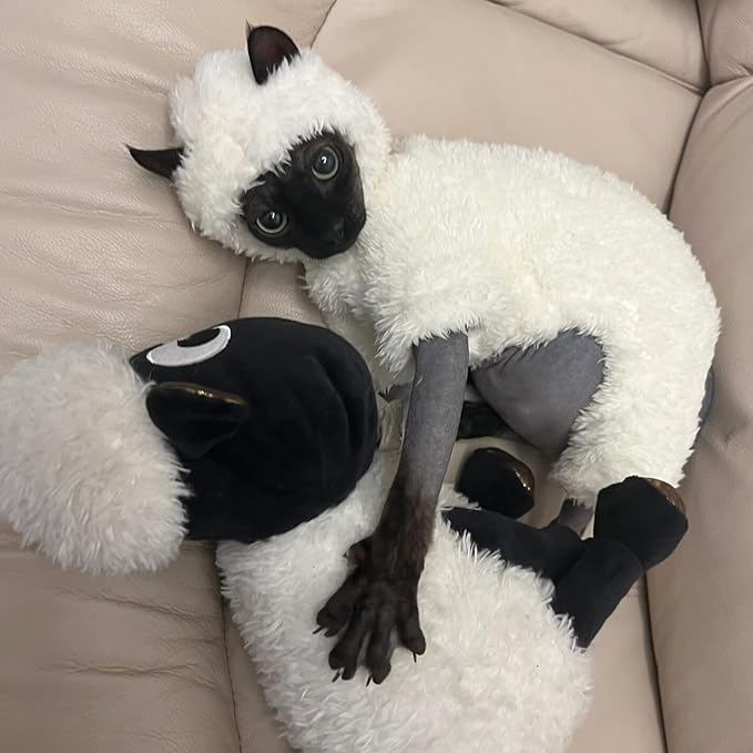 Warm Fleece Lined Winter Clothing for Sphynx & Devon Rex Cats | Soft Faux Lamb Wool | Cozy and Comfortable (Sheep Costume,XXL 4.5-5.5 kg)
