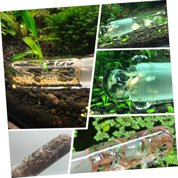 NOLITOY 1hole Aquarium Glass Turbellarian Catcher with Fish Tank Accessory for Easy Planaria Removal and Simple Design for Aquarium Maintenance