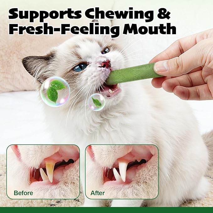 ALIVO Cat Grass Sticks, Cat Grass Treats Support Teeth Cleaning & Hairball Care, Natural Dental Treats for Indoor Cats, Health Supplies Dental Care - Indoor Cats Snack, 60g