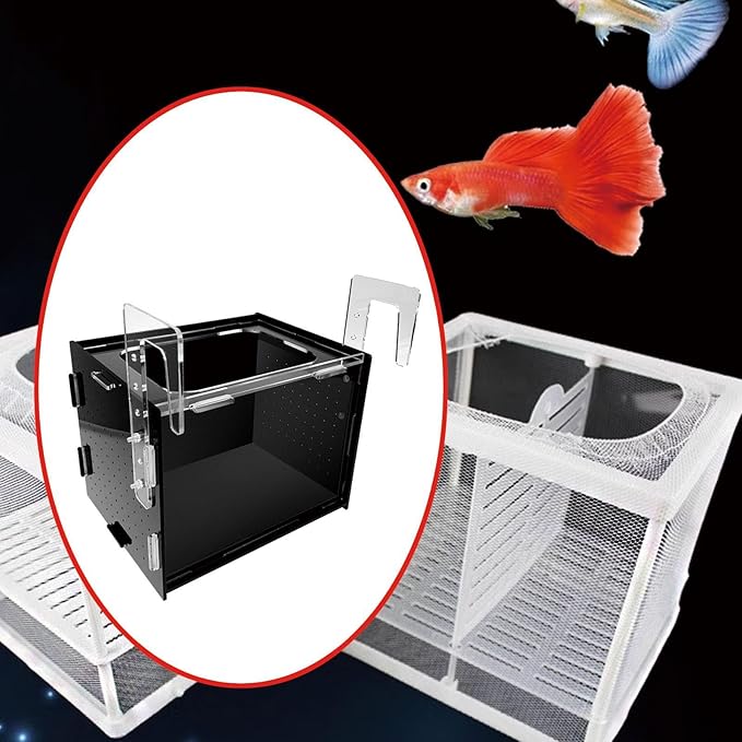 Fish Breeding Box, Fish Isolation Box, Sturdy Separation Easy Installation Clear Hanging Incubator for Clownfish Betta, 20x15x15cm