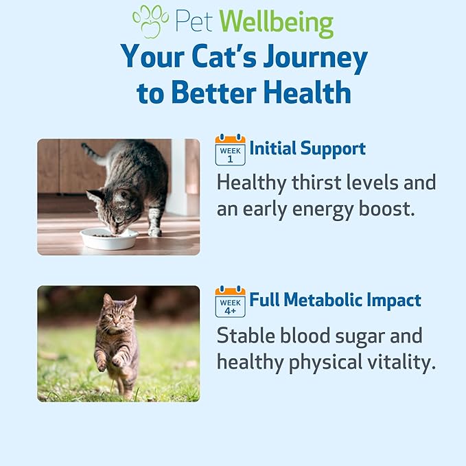 Pet Wellbeing Blood Sugar Gold Cats - Holistic Blood Sugar Support, Pancreas & Liver Health, Gymnema, Fenugreek & Devil’s Club - NASC Certified & Vet-Formulated - 4 oz Liquid