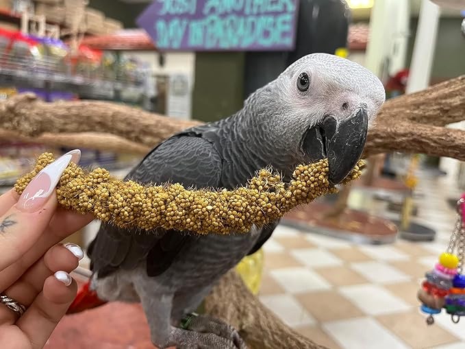 Birds LOVE Millet Tips & Tails for Birds - Parakeets, Cockatiels, Lovebirds, Budgies, Canaries, Cockatoos - Natural & Healthy Millet for Bird, Parakeet Food & Treats for All Parrots, 1lb (Pack of 25)