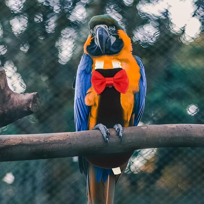 POPETPOP Flying Bird Harness Clothes - Reusable Nappies, Parrot Flight Suit, Washable Diaper, Cotton Pet Xuan Feng