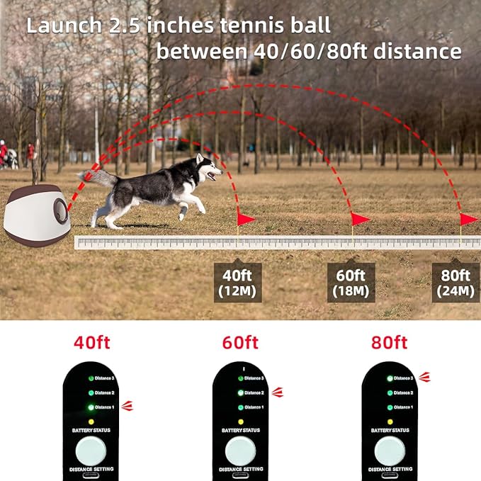 AutoDog Ball Launcher - Large Silent Dog Ball Thrower with Remote Control, 3 Adjustable Distances (40t/60ft/80ft), Rechargable,Includes 6 Durable 2.5" Balls for Medium/Large Dogs (Blue -, Large)