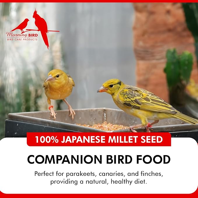 Morning Bird Japanese Millet Seed Bag 9 lbs - Healthy & Nutritious Pet Bird Food to Support Health & Immunity - Delicious Unique and Natural Flavor – Ideal Bird Feed for All Seed Eating Birds