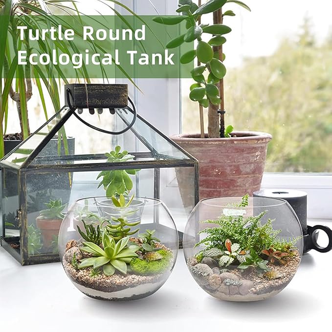 MANON ROSA Turtle Bowls Round Ecological Tank Container Clear Aquarium Habitat Small Desktop Home for Hydroponic Plants Fish Starter Choice (M(7.9" D))