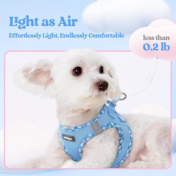 rabbitgoo Dog Harness Small Sized and Leash Set, Step in Soft Light Puppy Vest, Breathable Mesh Pet Harness, Reflective for Safe Easy Walking, Blue & Plaid Trim S