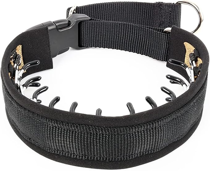 Mayerzon Dog Collar, Patented Martingale No Pull Collar for Small Medium Large Dogs with Buckle for Walking Training, Hidden Design (Black, Large,2.5mm,18.5"-23.5" Neck)