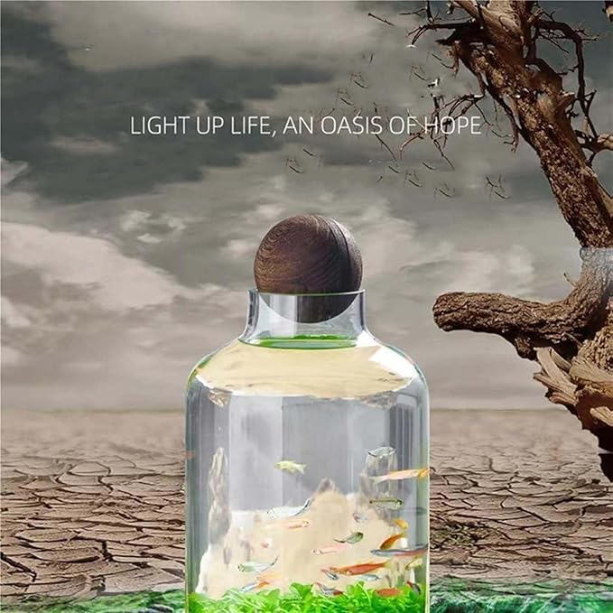 Glass Aquarium Fish Tank Plant Terrarium Bowl Micro Ecological Landscape Self-circulating Plant Vase Desktop Planter Jars Breeder Box, B