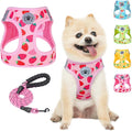 BEAUTYZOO Step in Dog Harness and Leash Set,Reflective Dog Harness No Pull No Choke Puppy Harness for Small Medium Large Dogs Cats,Soft Padded Mesh Vest Harnesses for Girl and Boy Pets, Strawberry XS