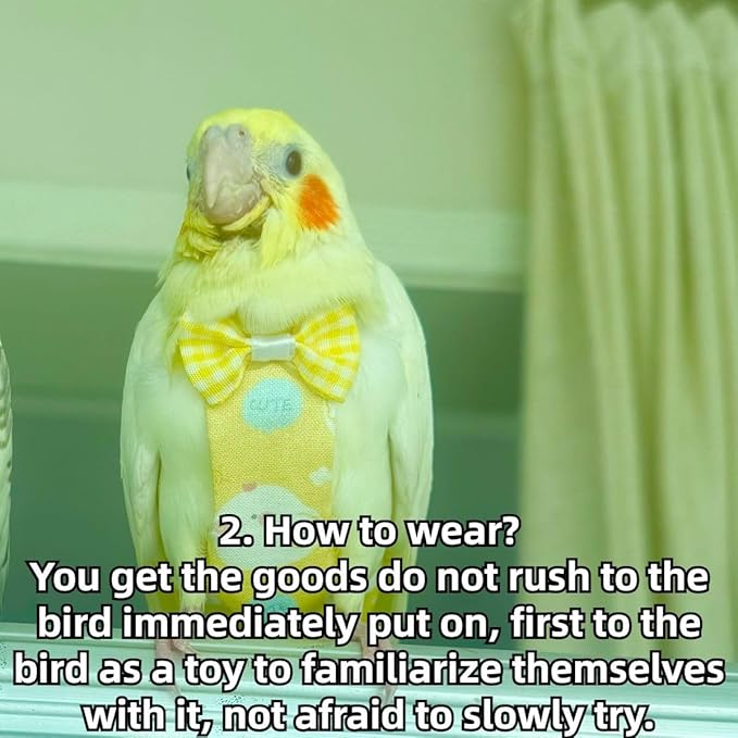 Bird Diaper Protective Parrot Nappy - 4 Pack, Reusable Flight Suit with Waterproof Inner Layer, Adjustable Shoulder Straps, Washable Cute Urine Wet Suit for Parakeet Conure (XL)