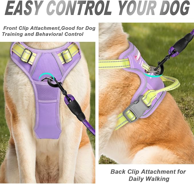 BARKBAY No Pull Dog Harness Front Clip Heavy Duty Reflective Easy Control Handle for Large Dog Walking(Violet Purple & Sunlight,M)