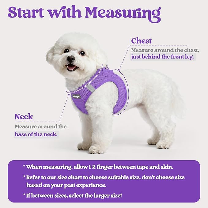 rabbitgoo Dog Harness Small Sized and Leash Set, Step in Soft Light Puppy Vest, Breathable Mesh Pet Harness, Reflective for Outdoor Safe Walking, Purple XL
