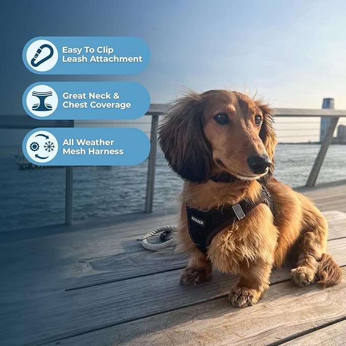 Best Pet Supplies Voyager Step-in Air Harness - All Weather Mesh, Reflective, No Pull Harness for Dogs, Cats - Secure with Hook & Loop Fastener, Buckle, Double D-Rings - Black, XS
