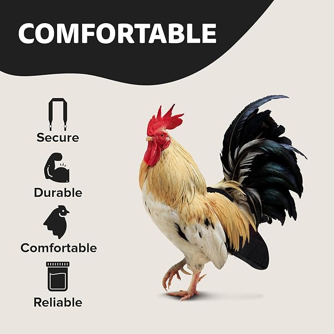 Hen Holster Wrap-Around Bird Diaper & Harness for Hens, Roosters, Ducks, Geese - with Removable Vinyl Liner, Adjustable Fit for Outdoor Adventures & Indoor Use - Easy to wear - Large, Black