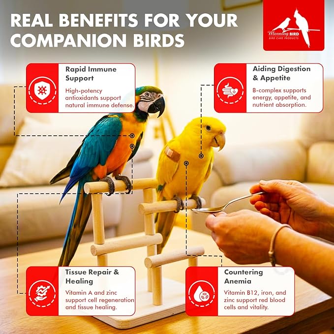 Morning Bird Thrive 2 oz – Daily Multi-Vitamin Bird Supplement for Immune & Recovery Support – Ideal for Sick, Injured, or Recovering Birds – Energy & Wellness Formula for Adult Birds