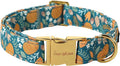 Unique style paws Dog Collar Green Pumpkin Flower Metal Buckle Durable Puppy Collar Halloween for Small Medium Large Boys Girls Dogs