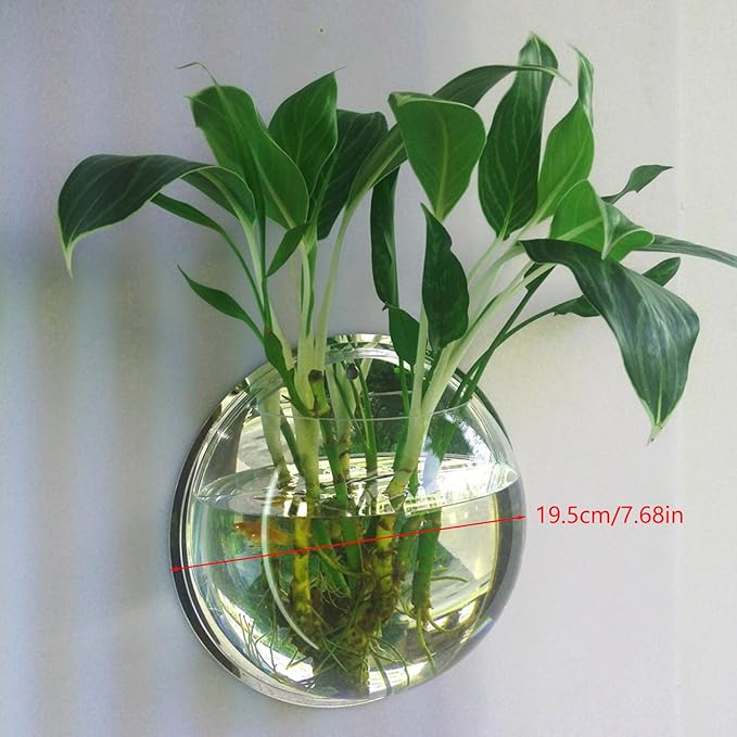 Wall Hanging Fish Bowl,Acrylic Wall Mounted Plant Pot,Small Fish Tanks,Decorative Planter Aquariums,for Home Office Decor