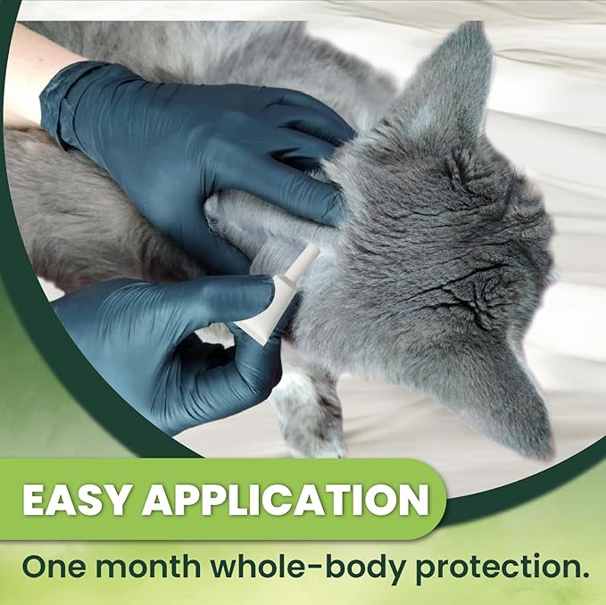Flea and Tick Prevention for Cats: Flea & Tick Topical for Cats Over 1.5lbs, 6 Dose Flea and Tick Control/Prevention for 6 Months (6 Pack)