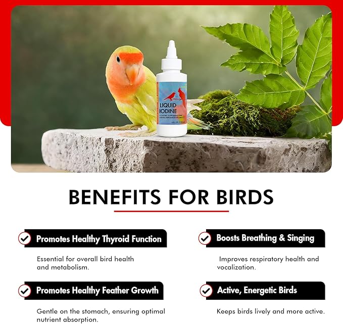 Morning Bird Liquid Iodine for Birds 4 fl oz – Iodine Mineral Supplement – Supports Feather Growth, Molting, Energy & Healthy Thyroid Function – Easy-to-Use Drops