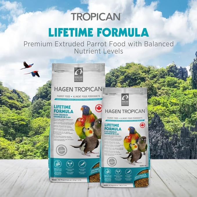 HARI Tropican Bird Food, Hagen Parrot Food with Peanuts & Sunflower Seeds, Maintenance Parrot Granules 2 mm, Lifetime Formula, 1.8 lb Bag