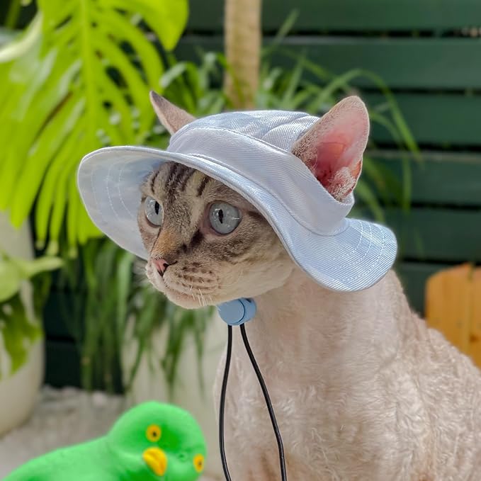 Pet hat with Ear Holes Sunscreen Baseball Cap Suitable for Small and Medium-Sized Dogs Outdoor Climbing hat in Summer Pet Products (Blue, Large)