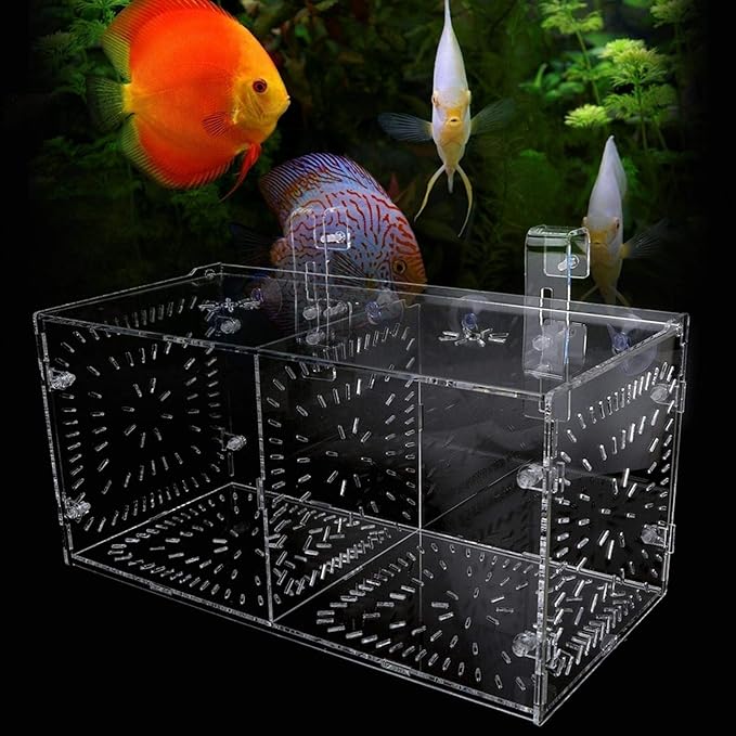 EVTSCAN Aquarium Breeder Box for Fish Tank, Fish Breeding Box Tank Hatchery Incubator Aquarium Isolation Box for Seedlings Incubation(M)