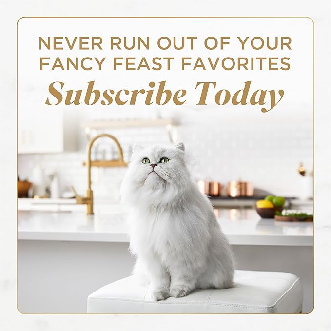 Fancy Feast Purina Petites Tender Beef Entree with Carrots in Gravy Gourmet Wet Cat Food - 2.8 oz. Tubs,(Pack of 24)