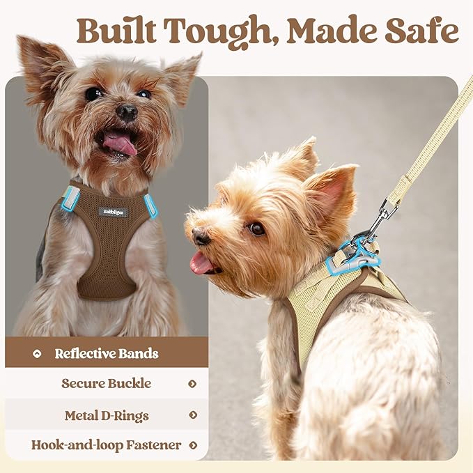 rabbitgoo Dog Harness Small Medium Sized and Leash Set, Step in Soft Light Puppy Vest, Breathable Mesh Pet Harness, Reflective for Safe Easy Walking, Brown & Beige L