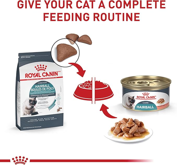 Royal Canin Feline Care Nutrition Hairball Care Adult Dry Cat Food, 3 lb Bag