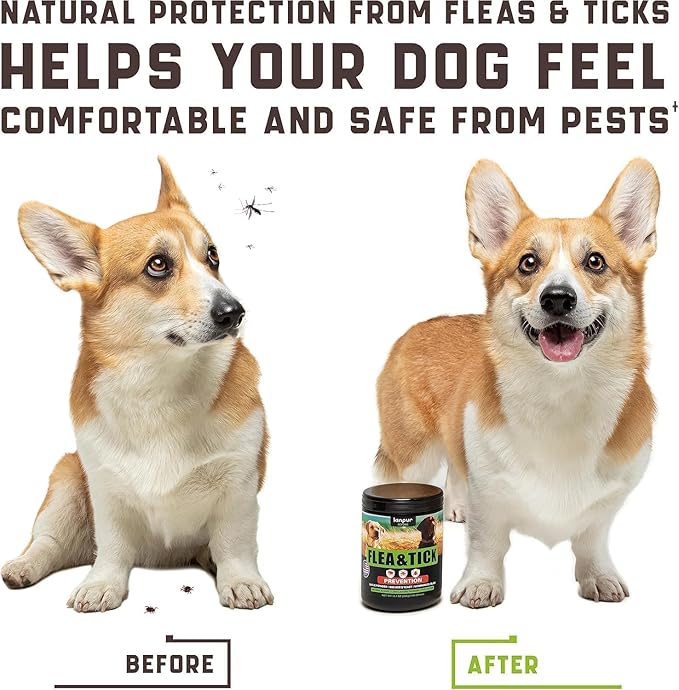 Flea & Tick Chewables for Dogs – Duck Flavored – 180 Soft Chews – Mess-Free Support – for All Breeds and Sizes