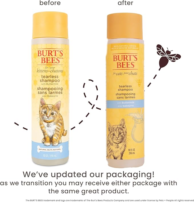 Burt's Bees for Pets Tearless Kitten Shampoo with Buttermilk and Honey, Gentle Cat Shampoo for Itchy Skin and Sensitive Coats, Easy Rinse Low Lather Formula, 99.3% Natural Origin, 10 Fl Oz - 6 Pack